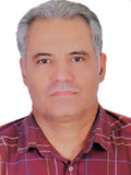 محمدرضا پورعالی