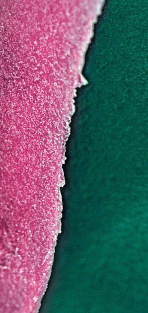 اشکان خواجه