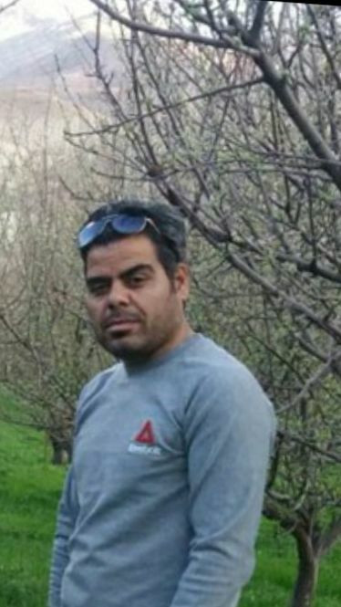 هادی میری