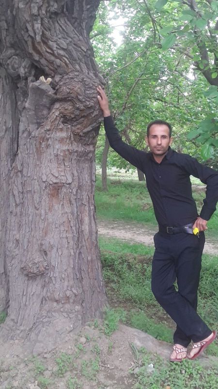 مرتض حامدی