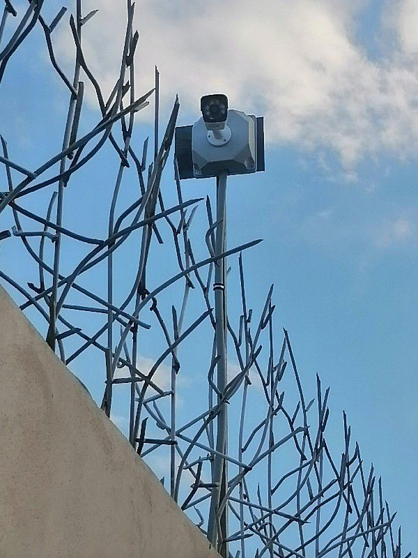 مصطفی مرتضوی