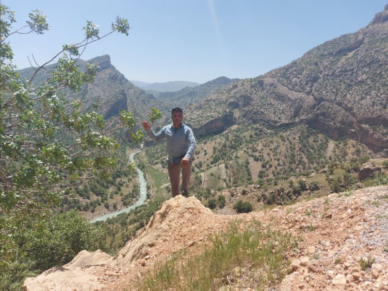 جواد اکبری