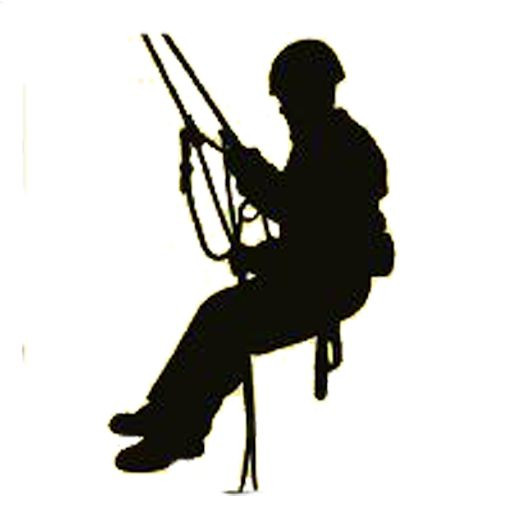 provider user card avatar