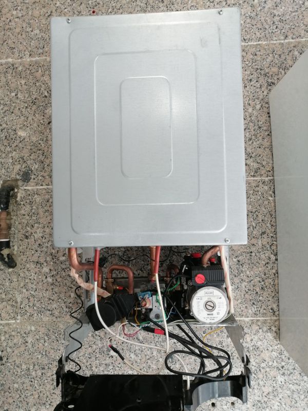 سجاد حسین زاده