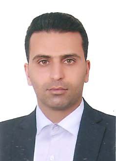 ویانا سرویس