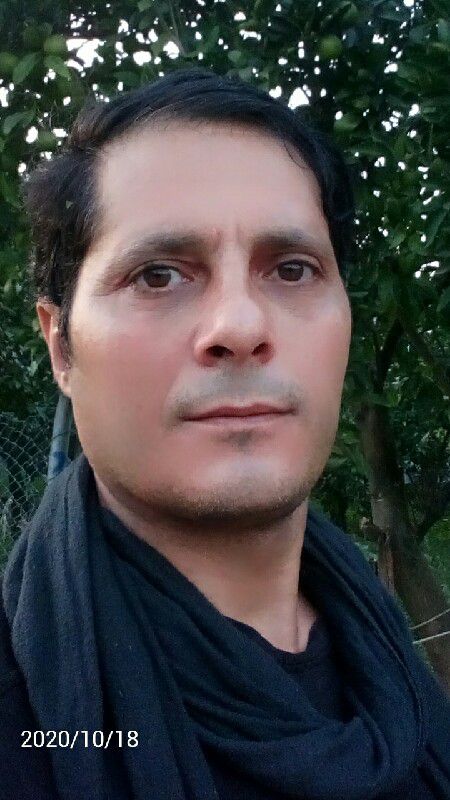 مهدی عادل یل سویی