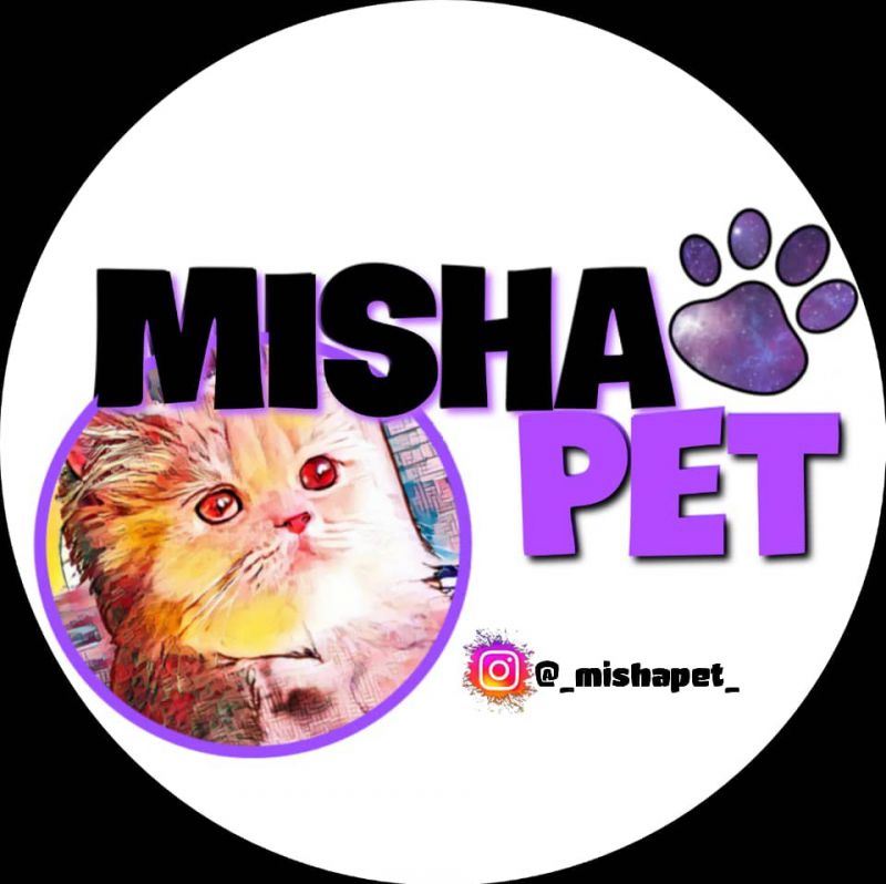 عطا دولت ابادی