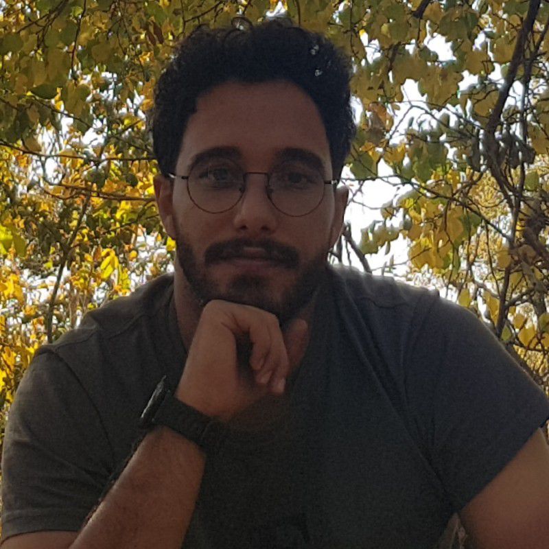 شایان تیموری