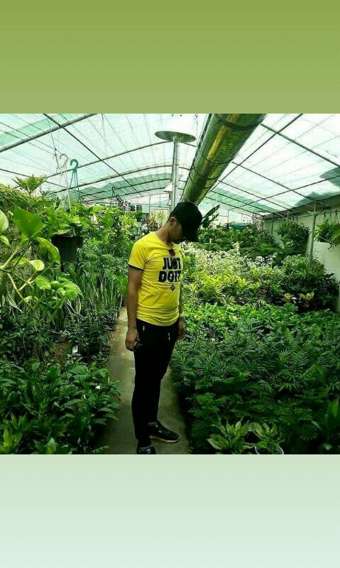 آرمان توکلی