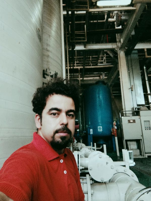 مجتبی باوگان