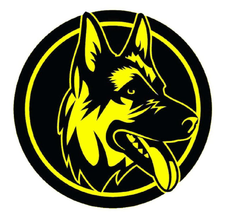 محمد درویشوند