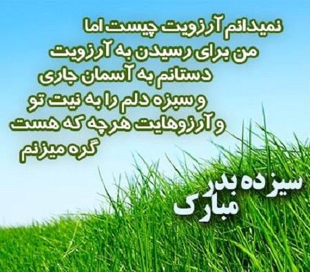 مسعود آصفی زردآلو