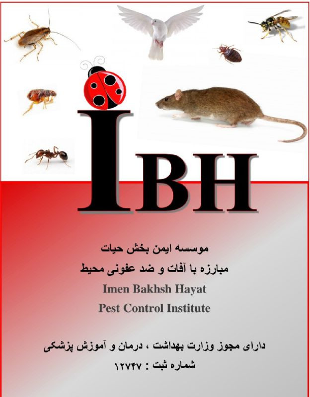 ایمن بخش حیات