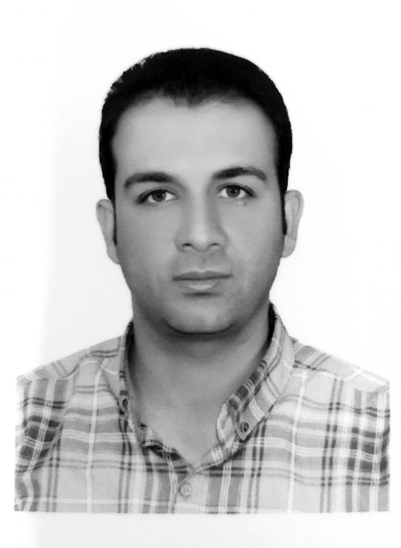 وسام چوب