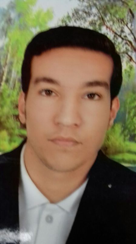 مجید آقچه لی