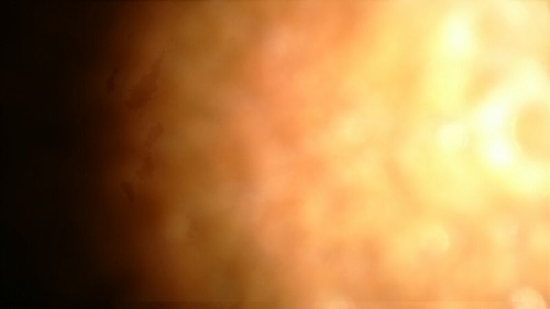 مجید عبداللهی