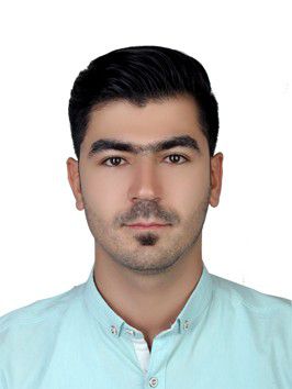 مجید میرعزیزی