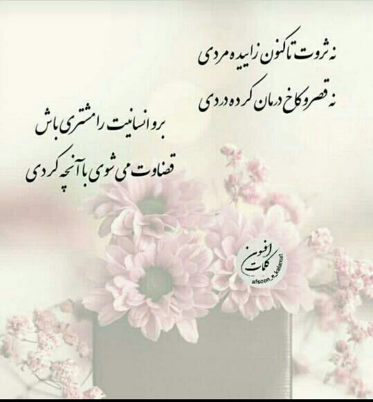 نجفی نجفی