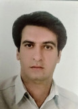 بابک توکلی