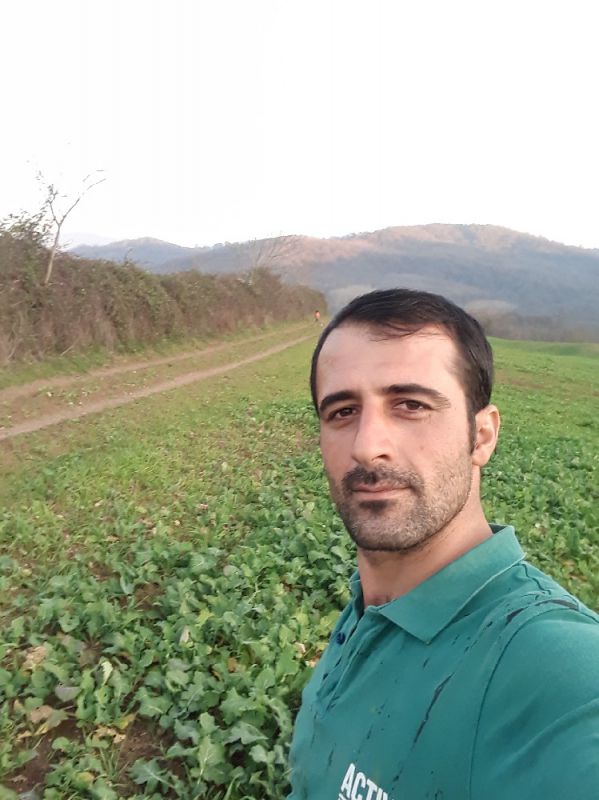 سعید طاهری