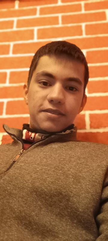 محمد مهدی محمودی