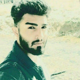 فردین بهجت نیا