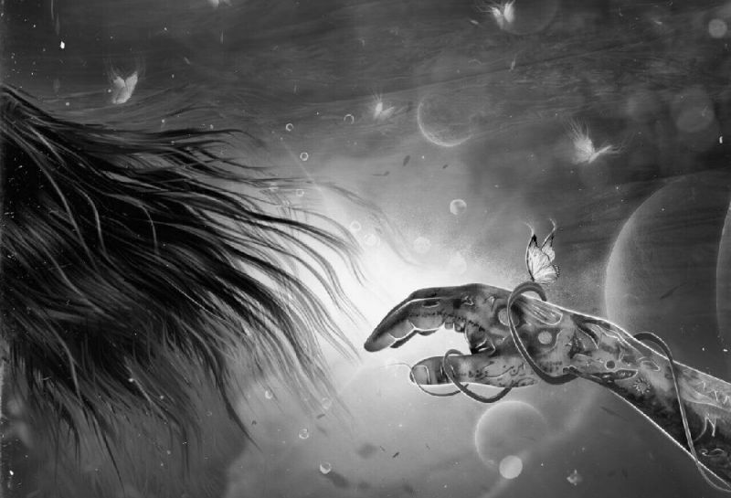 پوریا توکلی