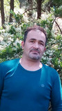 بابک مولوی