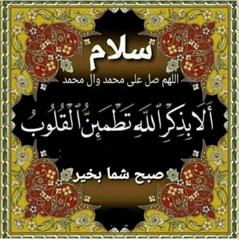 علیرضا محمودی