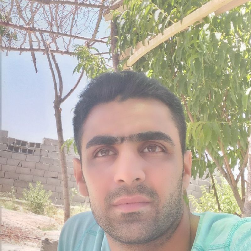 میثم حبیبی فر