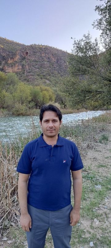 علی هوشمندی