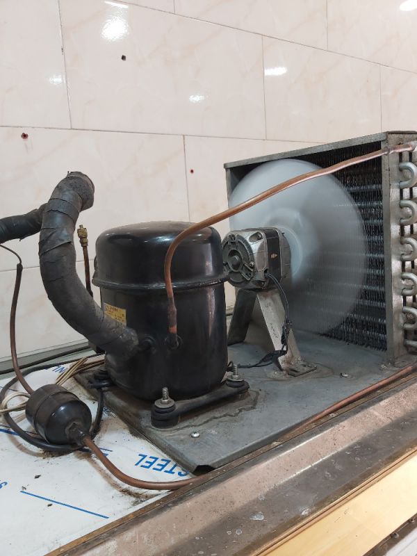 مهران سعدی نژاد