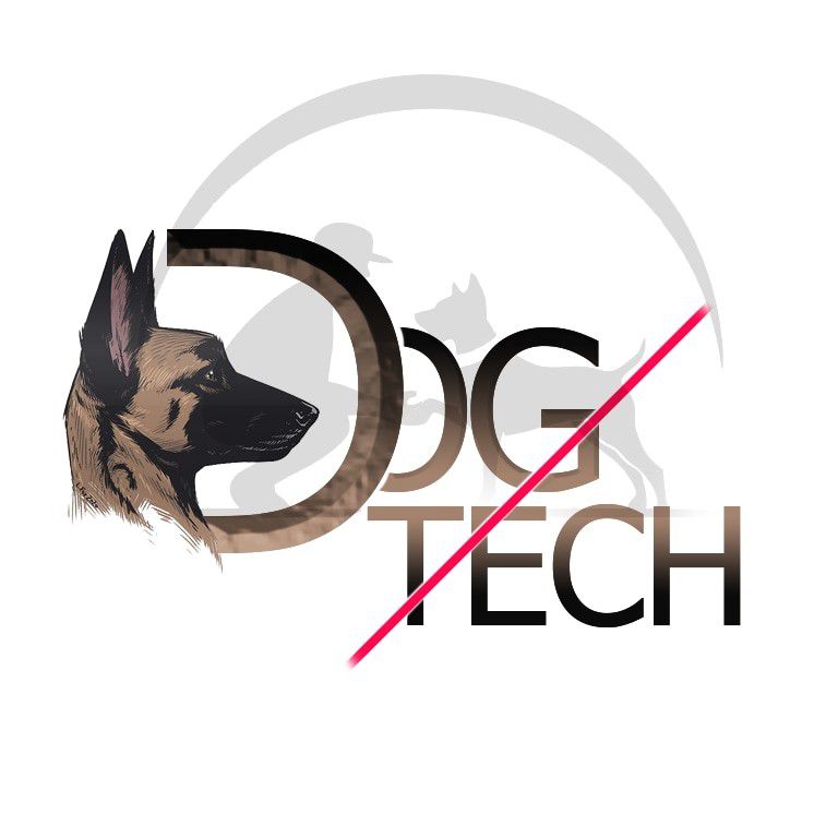 مهران چالوک