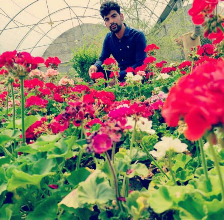 محمدعلی نامور