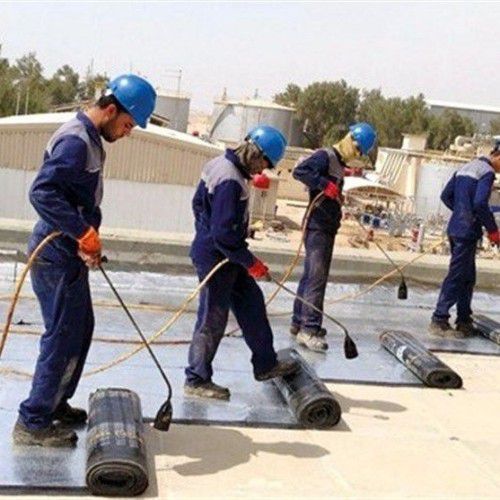 محمد جعفر عباسی شها