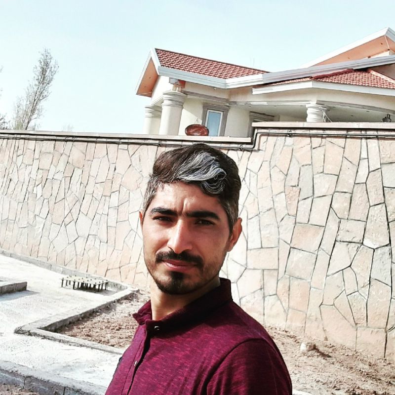 پرویز حسن زاده