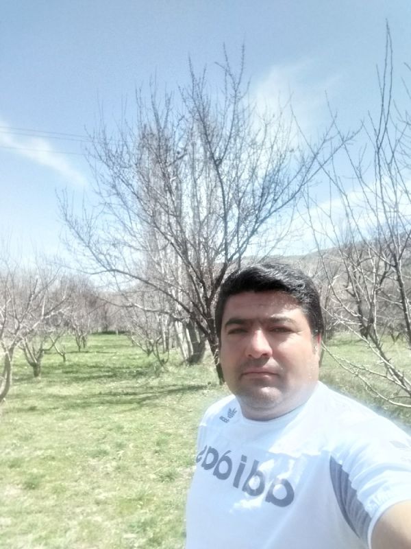 مهدی استا