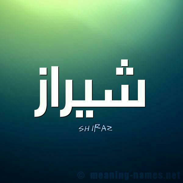 حمید رضا لطفی