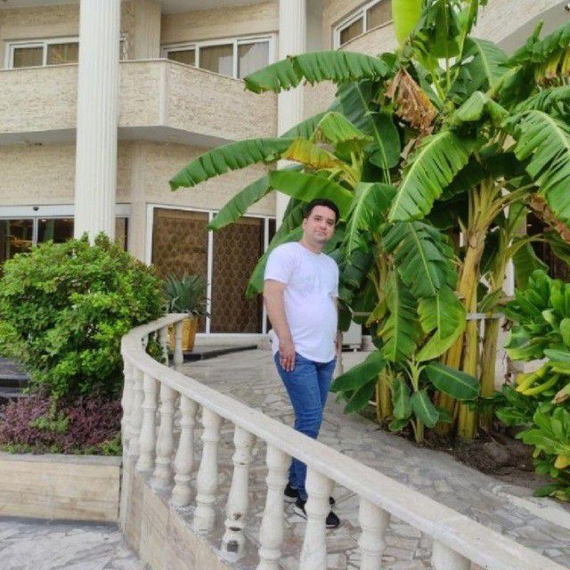 رضا نامجو