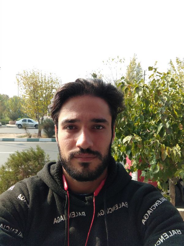 محسن بگوردی