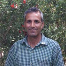 علیرضا شمسی