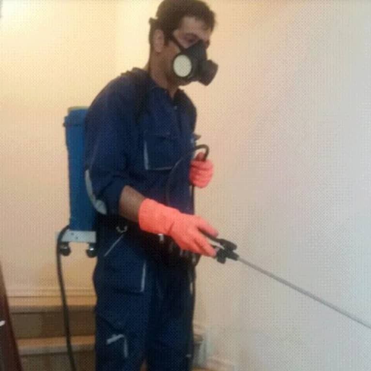 provider user card avatar