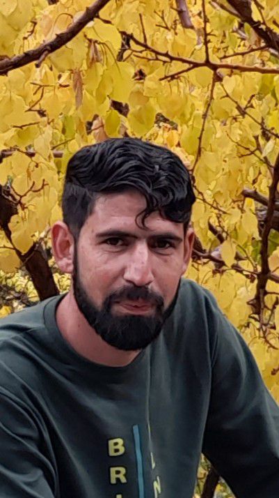 میثم سهرابی