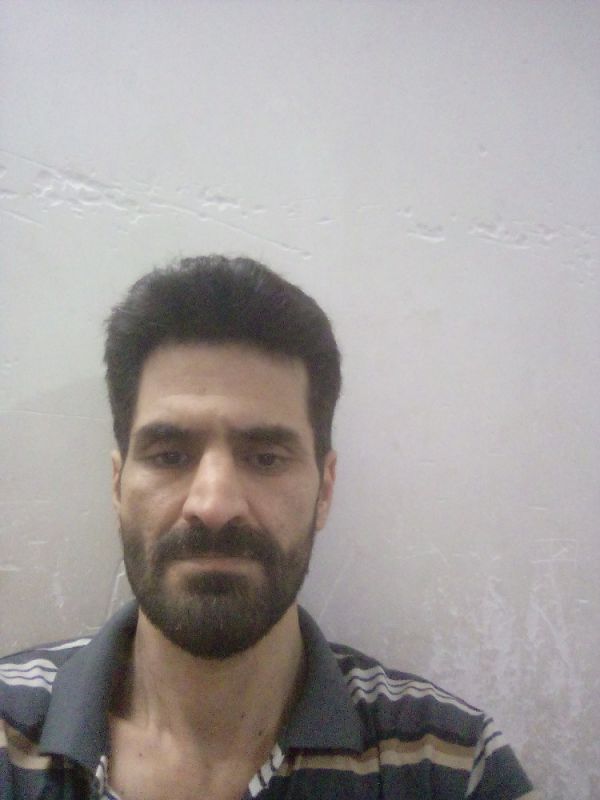 شربتی