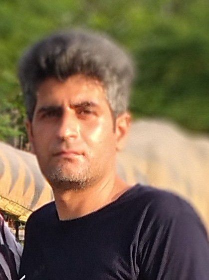 مجید محمدی