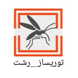 سید امین علیزاده