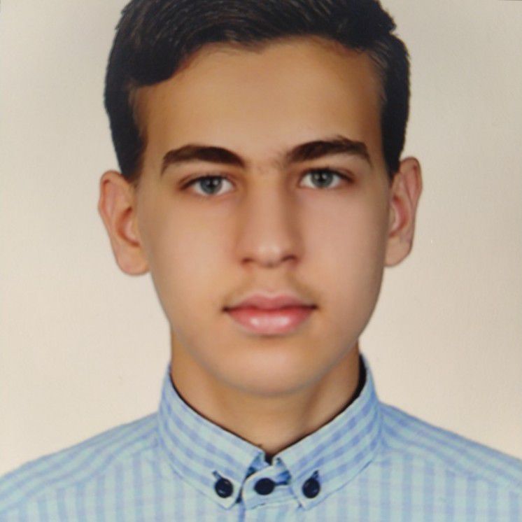 سید معین محمودی