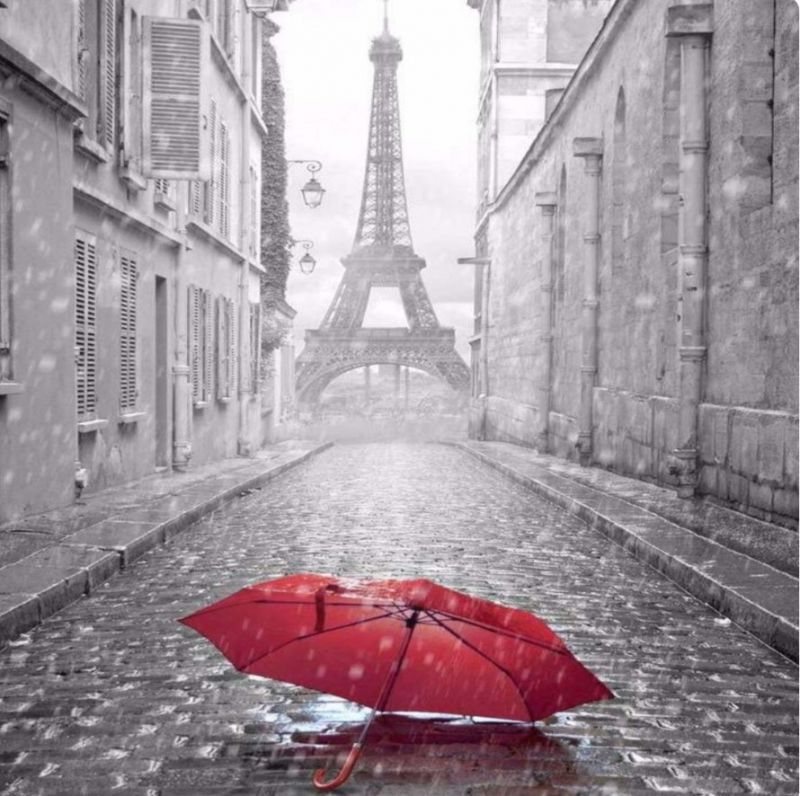 مصطفی امیری