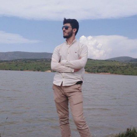 رضا فیضی کلیشمی
