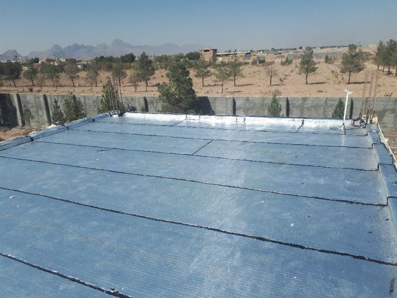 نصیر وصال منفرد